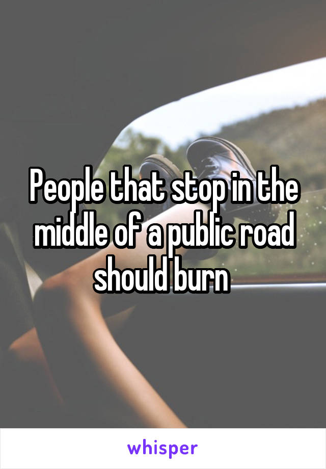 People that stop in the middle of a public road should burn 