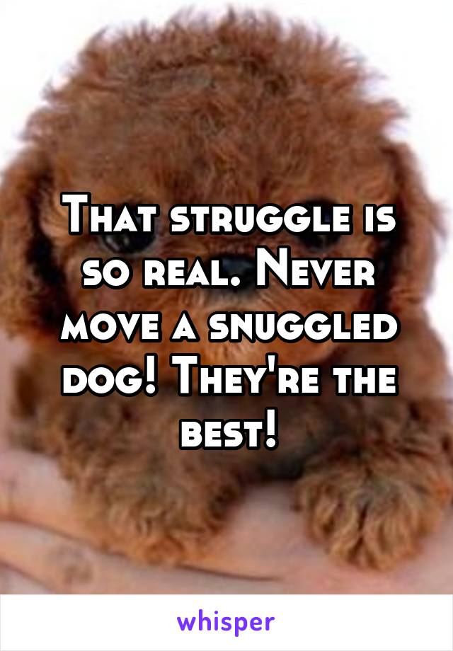 That struggle is so real. Never move a snuggled dog! They're the best!