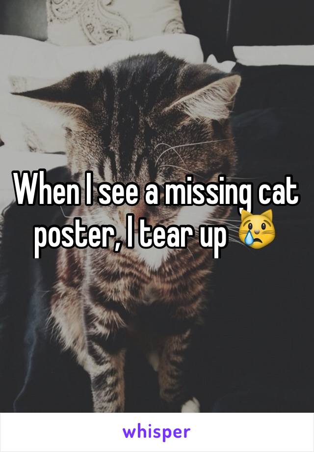 When I see a missing cat poster, I tear up 😿