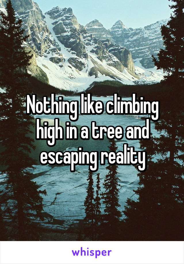 Nothing like climbing high in a tree and escaping reality