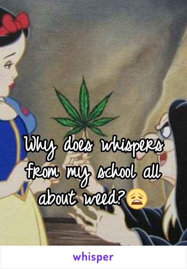 Why does whispers from my school all about weed?😩