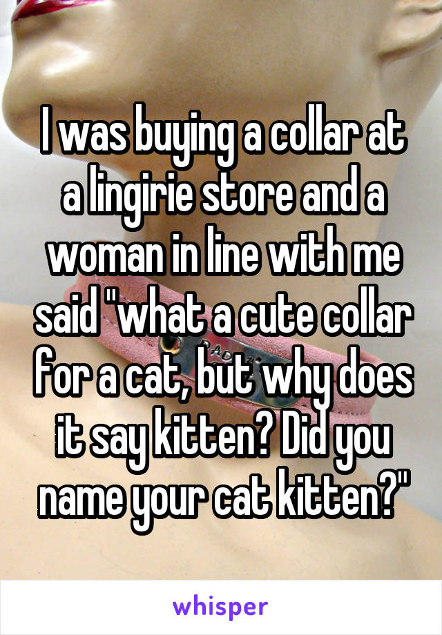 I was buying a collar at a lingirie store and a woman in line with me said "what a cute collar for a cat, but why does it say kitten? Did you name your cat kitten?"