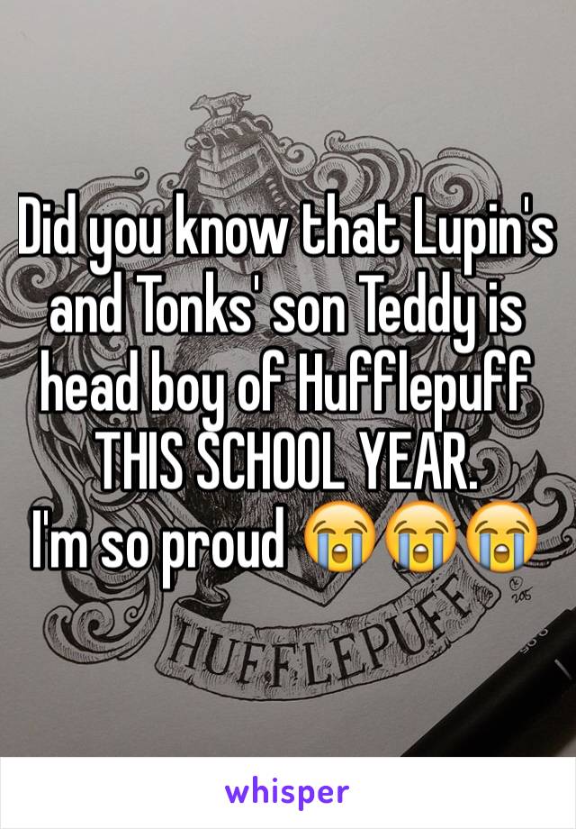 Did you know that Lupin's and Tonks' son Teddy is head boy of Hufflepuff THIS SCHOOL YEAR.
I'm so proud 😭😭😭