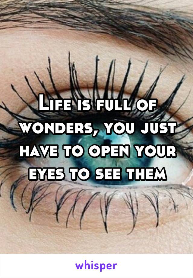 Life is full of wonders, you just have to open your eyes to see them