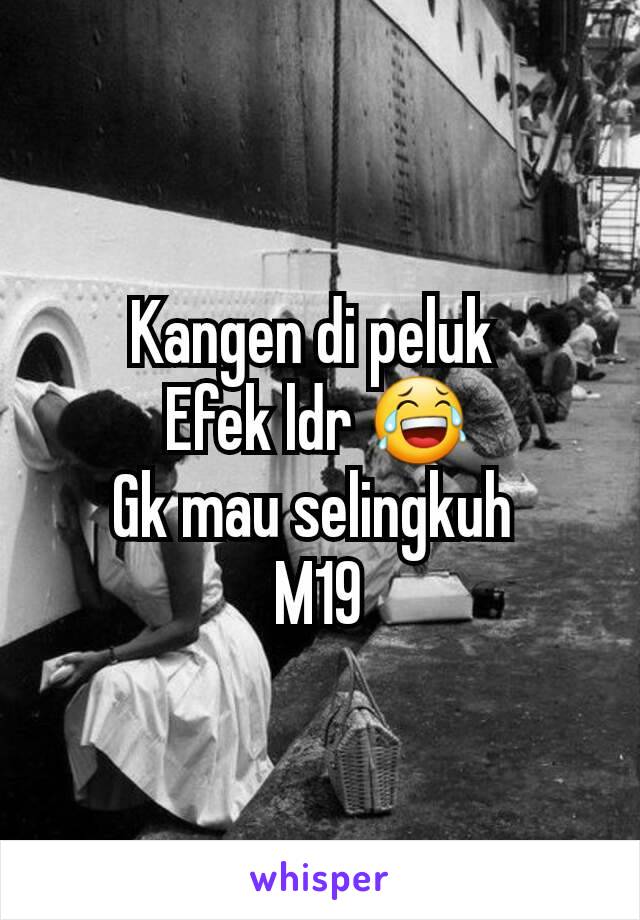 Kangen di peluk 
Efek ldr 😂
Gk mau selingkuh 
M19