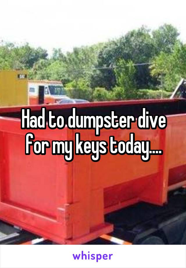 Had to dumpster dive for my keys today....