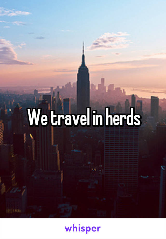 We travel in herds