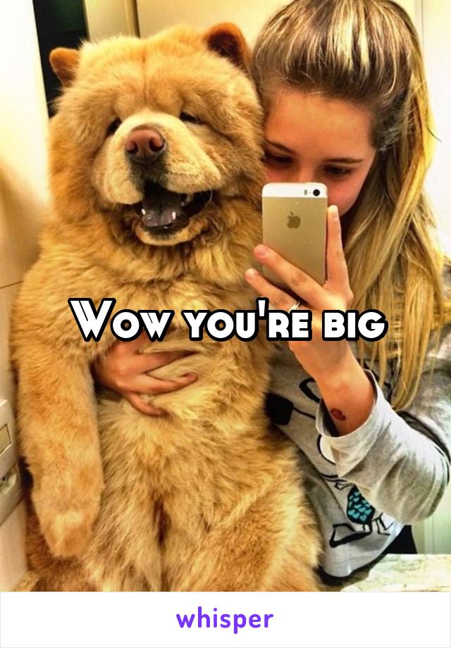 Wow you're big