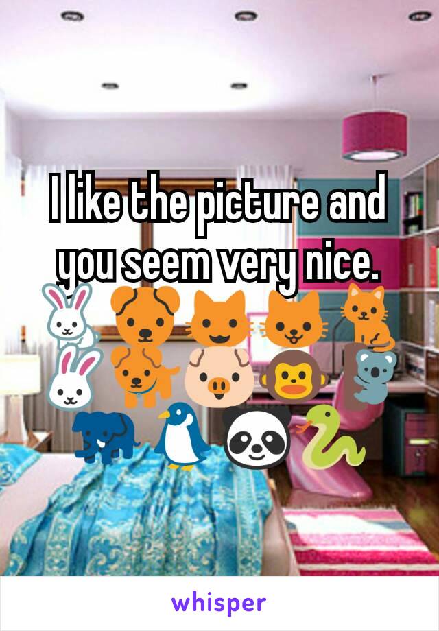 I like the picture and you seem very nice.🐇🐶😺🐱🐈🐰🐕🐷🐵🐨🐘🐧🐼🐍