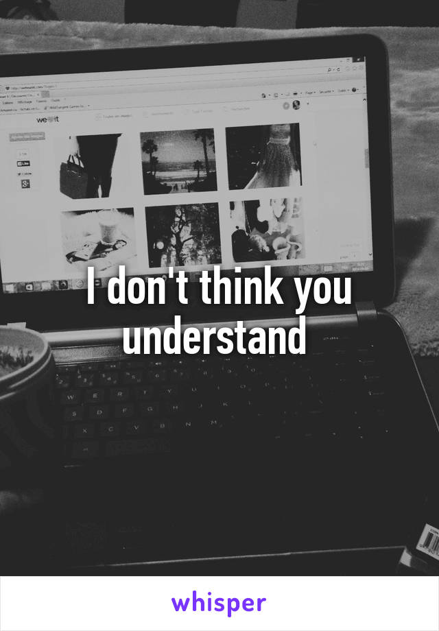 I don't think you understand 