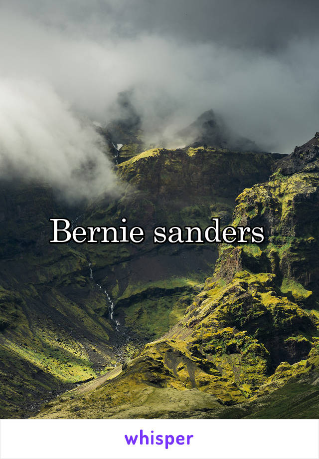 Bernie sanders 