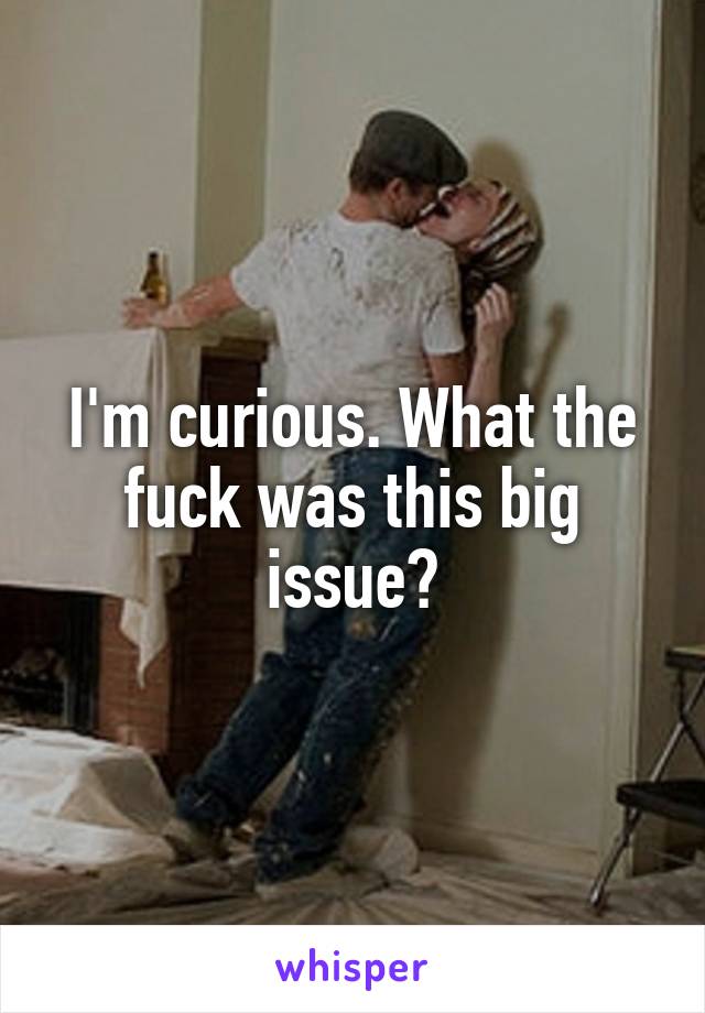 I'm curious. What the fuck was this big issue?