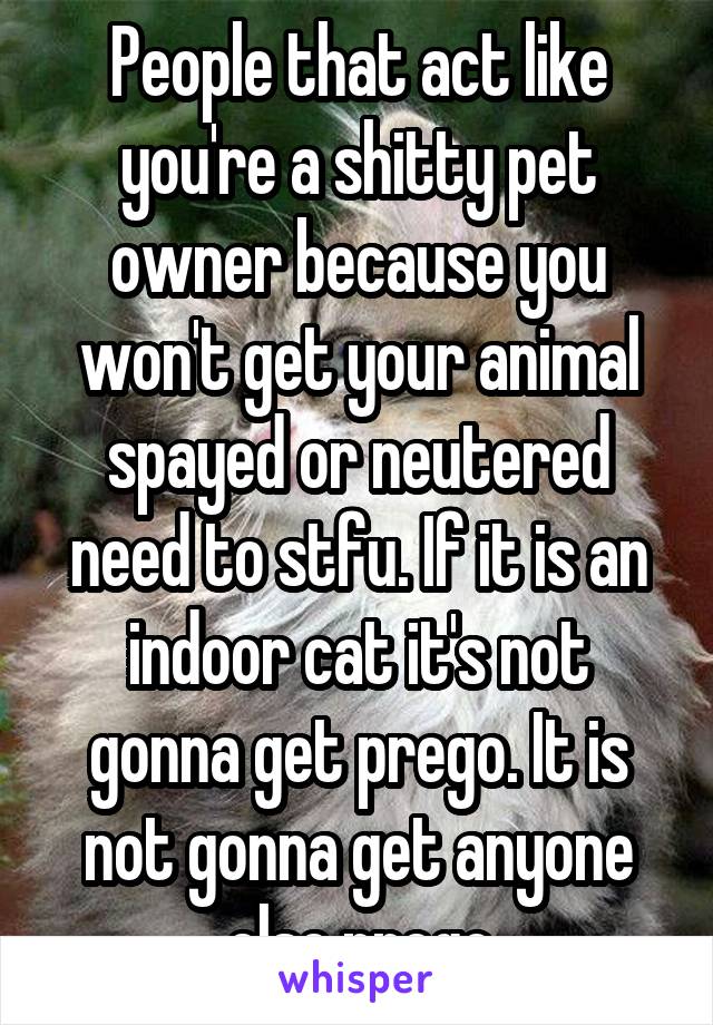 People that act like you're a shitty pet owner because you won't get your animal spayed or neutered need to stfu. If it is an indoor cat it's not gonna get prego. It is not gonna get anyone else prego