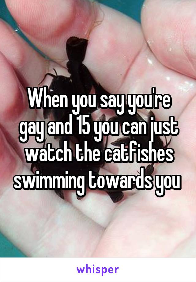 When you say you're gay and 15 you can just watch the catfishes swimming towards you 