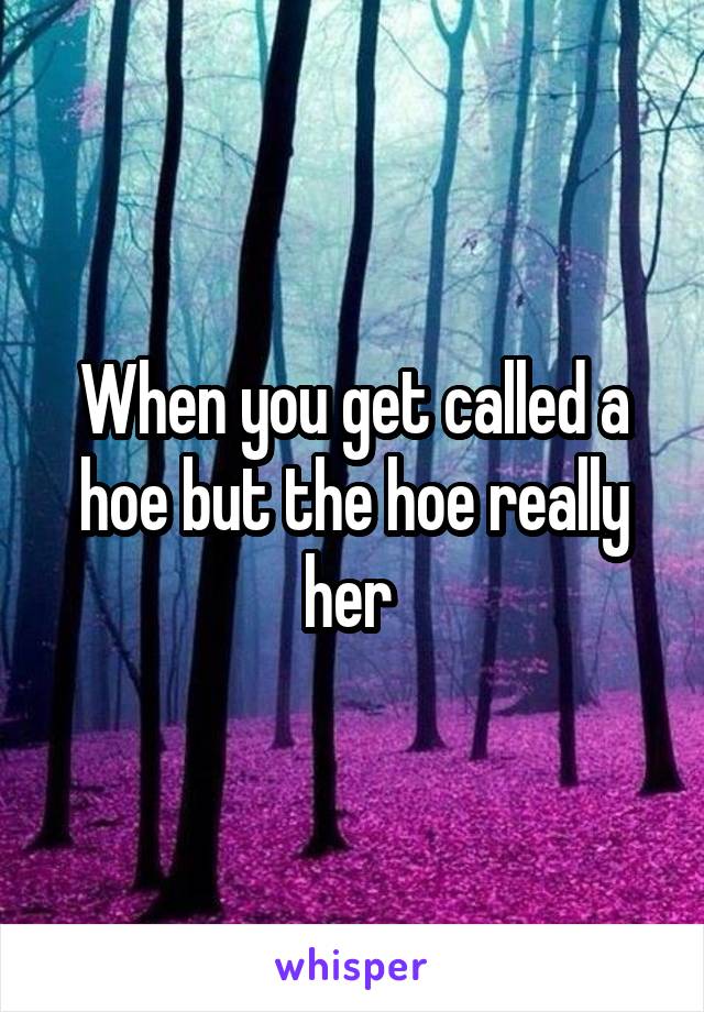 When you get called a hoe but the hoe really her 