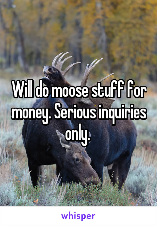 Will do moose stuff for money. Serious inquiries only. 