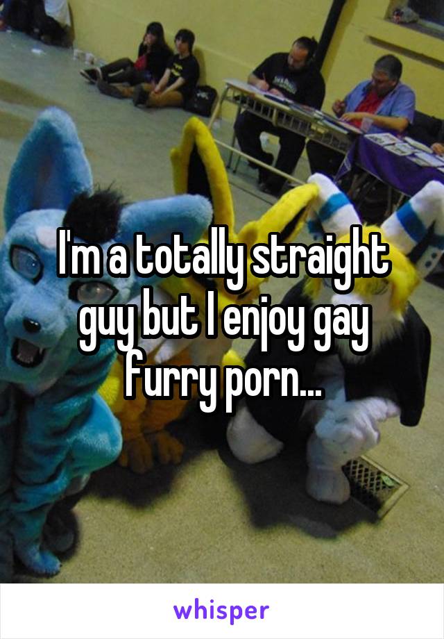 I'm a totally straight guy but I enjoy gay furry porn...