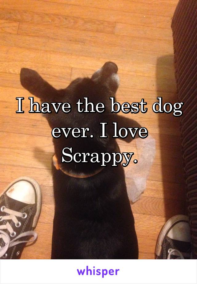 I have the best dog ever. I love Scrappy.
