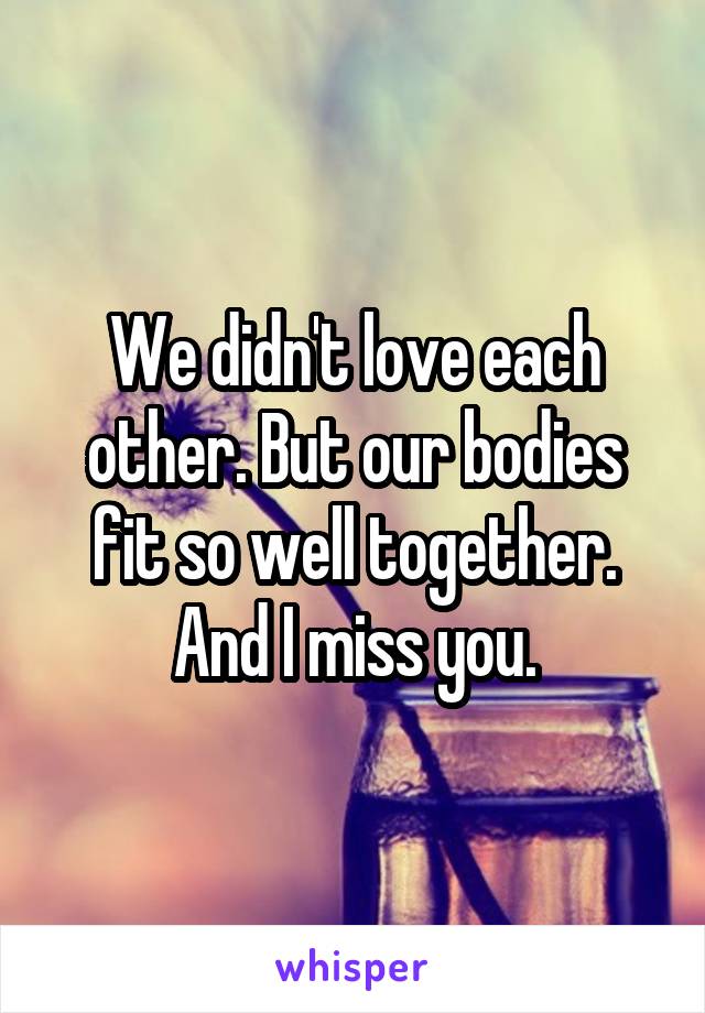 We didn't love each other. But our bodies fit so well together. And I miss you.