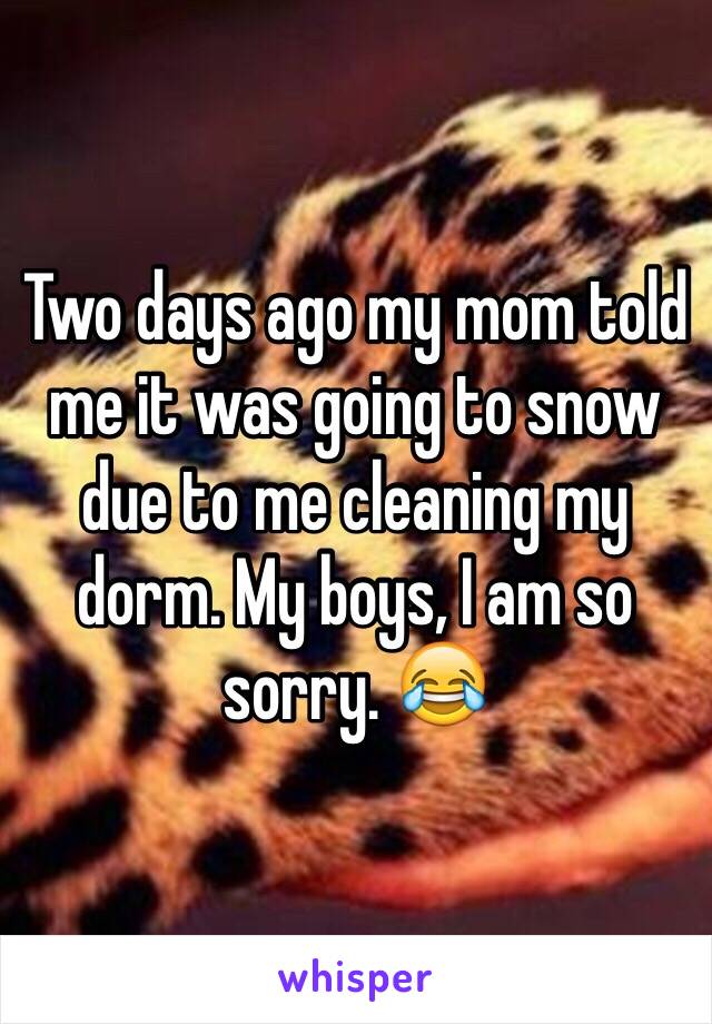 Two days ago my mom told me it was going to snow due to me cleaning my dorm. My boys, I am so sorry. 😂