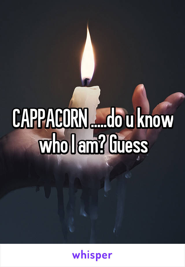 CAPPACORN .....do u know who I am? Guess