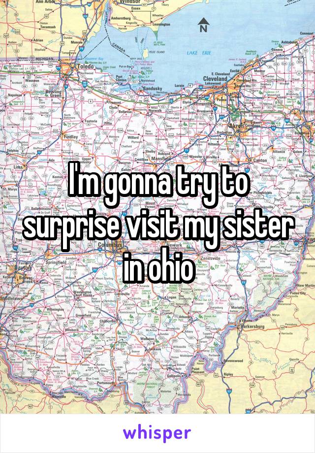 I'm gonna try to surprise visit my sister in ohio