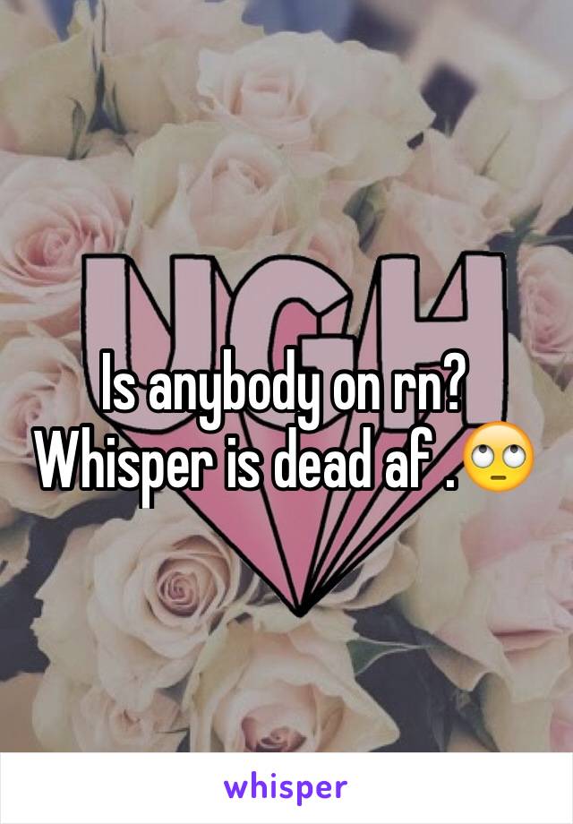 Is anybody on rn?
Whisper is dead af .🙄