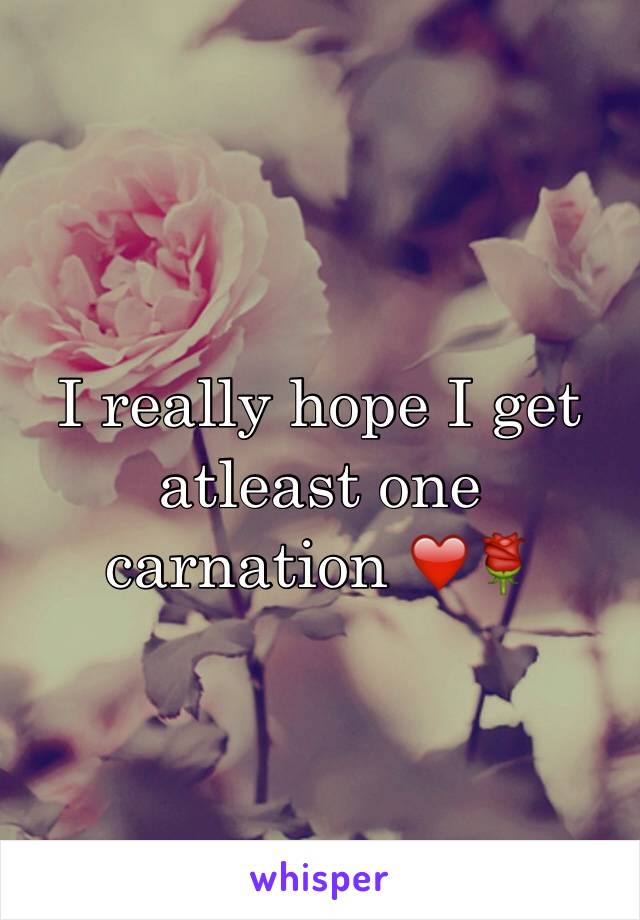 I really hope I get atleast one carnation ❤️🌹