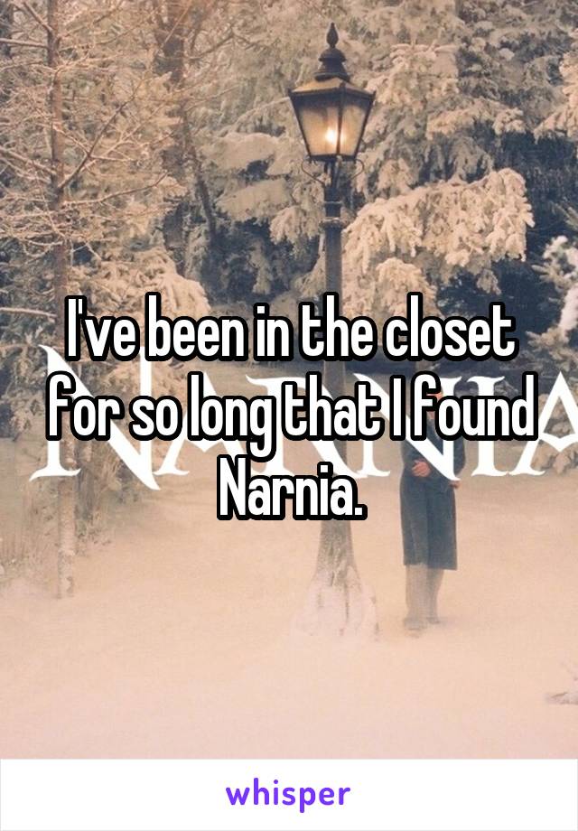 I've been in the closet for so long that I found Narnia.