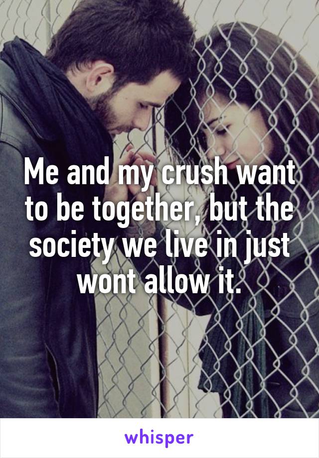 Me and my crush want to be together, but the society we live in just wont allow it.