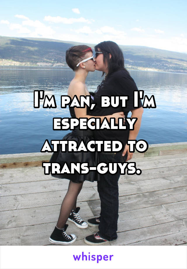 I'm pan, but I'm especially attracted to trans-guys. 