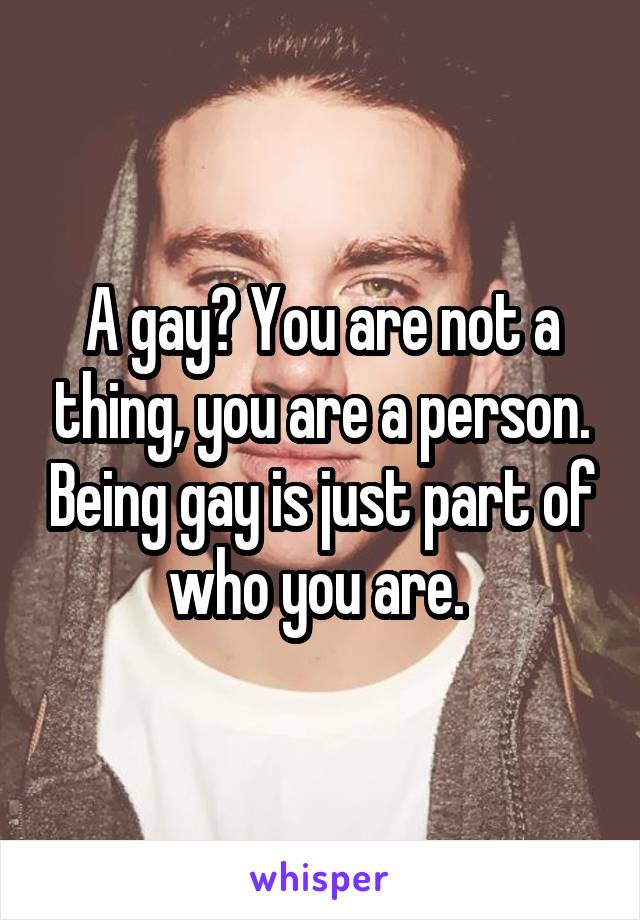 A gay? You are not a thing, you are a person. Being gay is just part of who you are. 