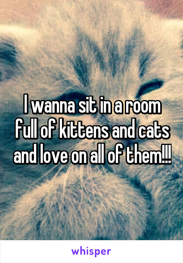 I wanna sit in a room full of kittens and cats and love on all of them!!!