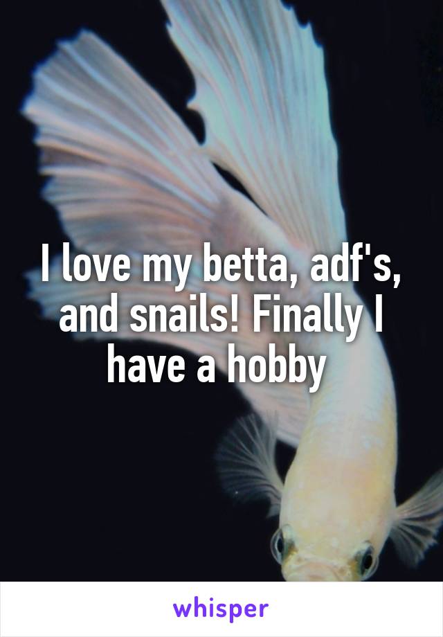 I love my betta, adf's, and snails! Finally I have a hobby 