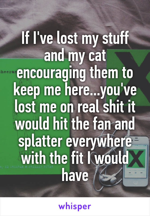 If I've lost my stuff and my cat encouraging them to keep me here...you've lost me on real shit it would hit the fan and splatter everywhere with the fit I would have