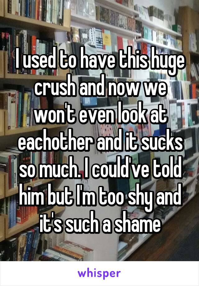 I used to have this huge crush and now we won't even look at eachother and it sucks so much. I could've told him but I'm too shy and it's such a shame