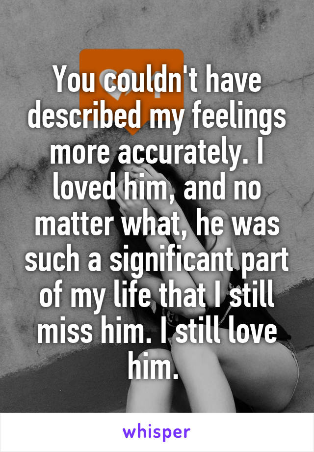 You couldn't have described my feelings more accurately. I loved him, and no matter what, he was such a significant part of my life that I still miss him. I still love him. 