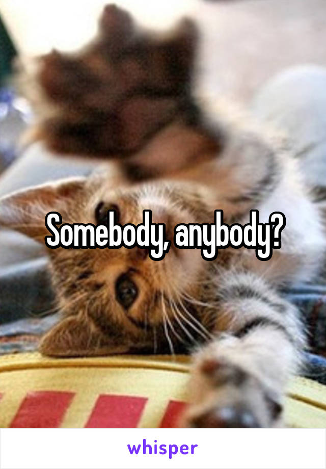 Somebody, anybody?
