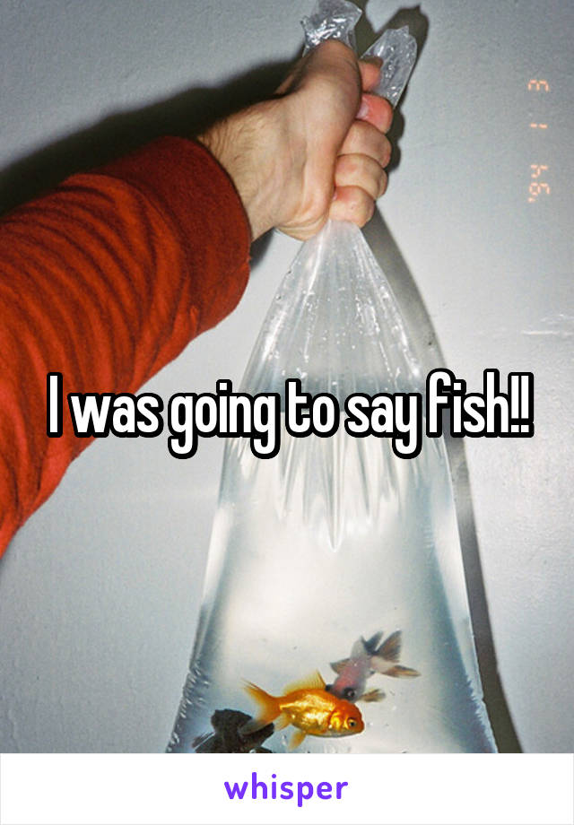 I was going to say fish!!