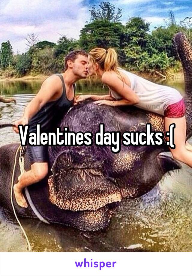 Valentines day sucks :(
