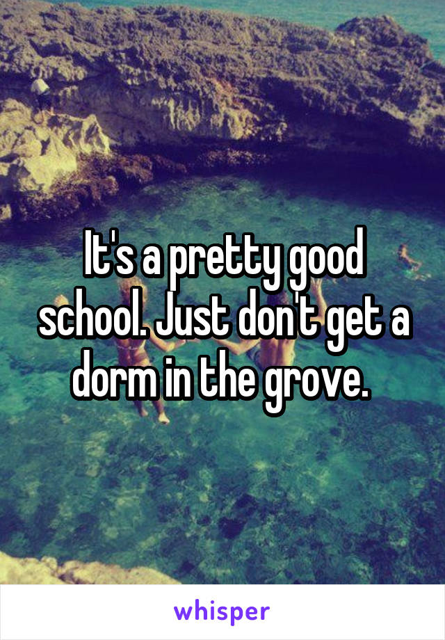 It's a pretty good school. Just don't get a dorm in the grove. 