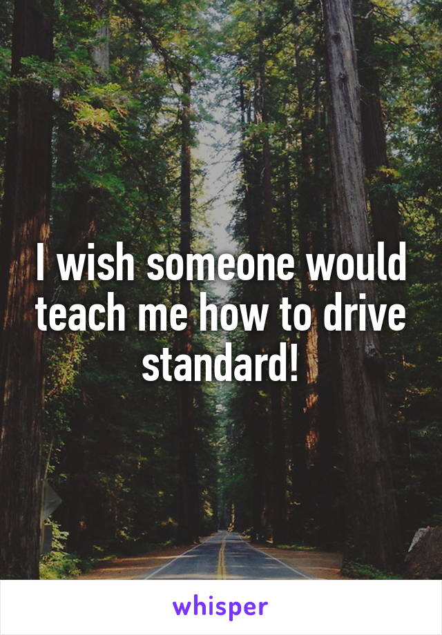 I wish someone would teach me how to drive standard!