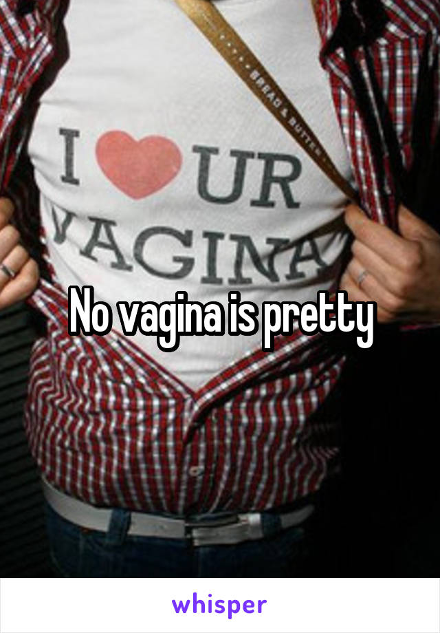 No vagina is pretty