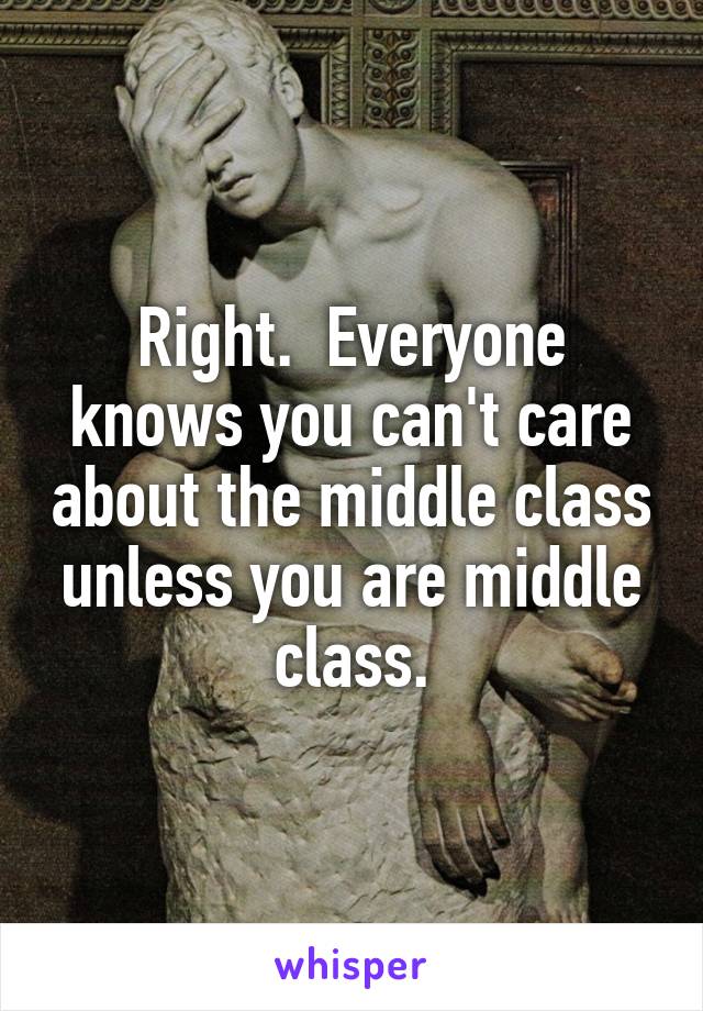 Right.  Everyone knows you can't care about the middle class unless you are middle class.