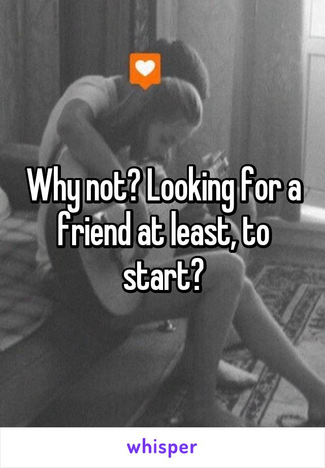 Why not? Looking for a friend at least, to start?