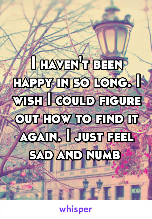 I haven't been happy in so long. I wish I could figure out how to find it again. I just feel sad and numb 