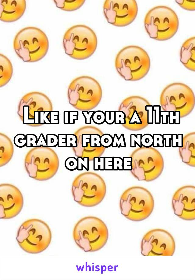  Like if your a 11th grader from north on here