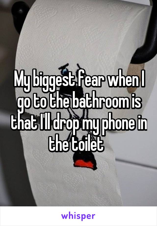 My biggest fear when I go to the bathroom is that I'll drop my phone in the toilet  
