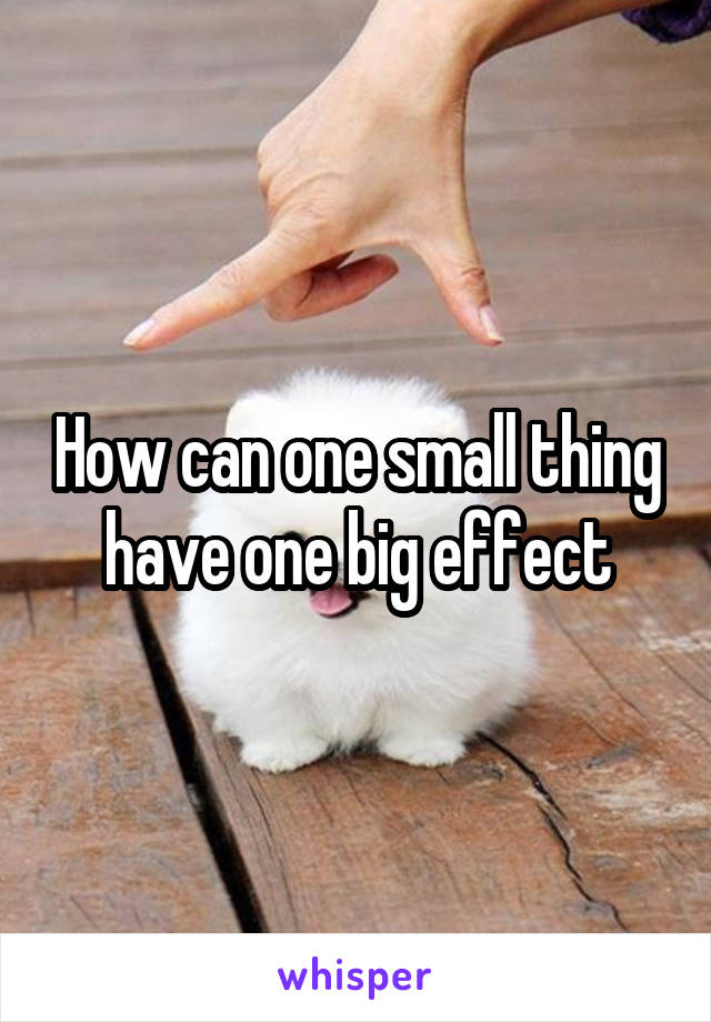 How can one small thing have one big effect