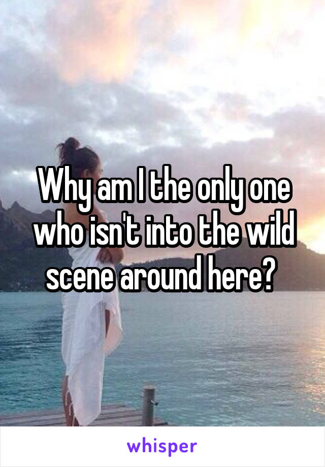 Why am I the only one who isn't into the wild scene around here? 